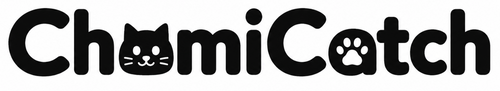 ChamiCatch