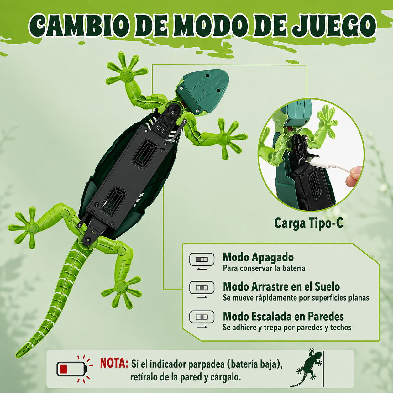 El lagarto que despierta a tu gato 🐱🦎