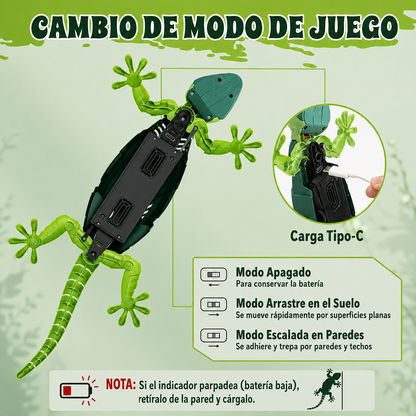 El lagarto que despierta a tu gato 🐱🦎